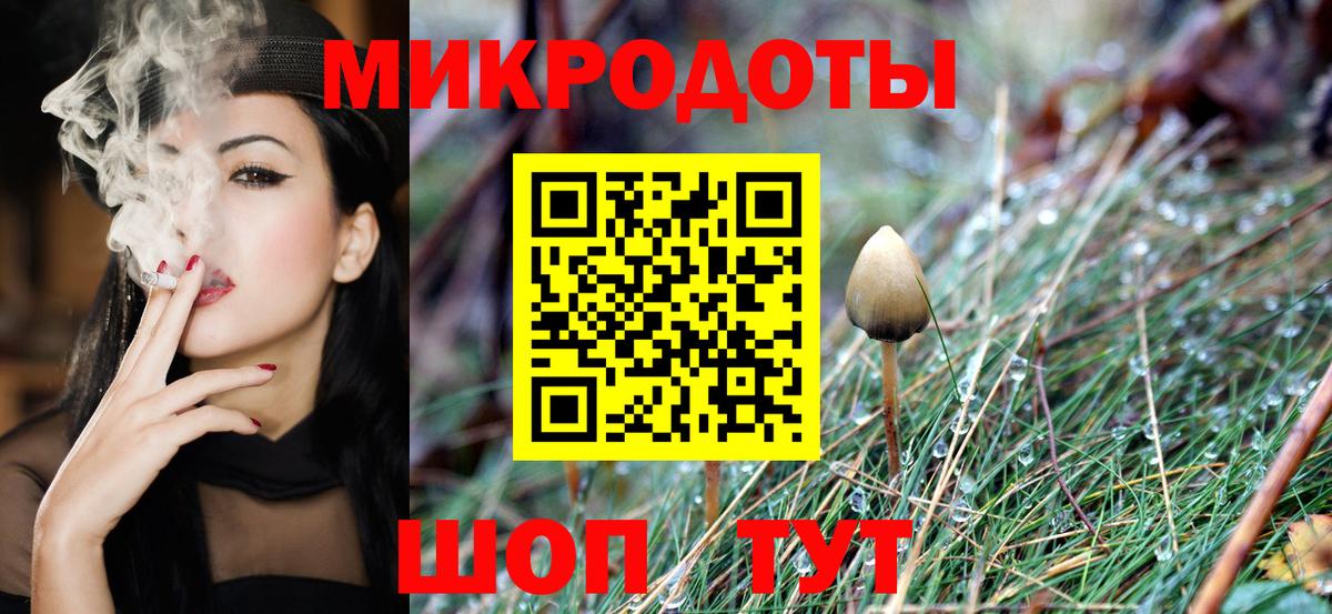 Псилоцибиновые грибы Psilocybine cubensis Заречный