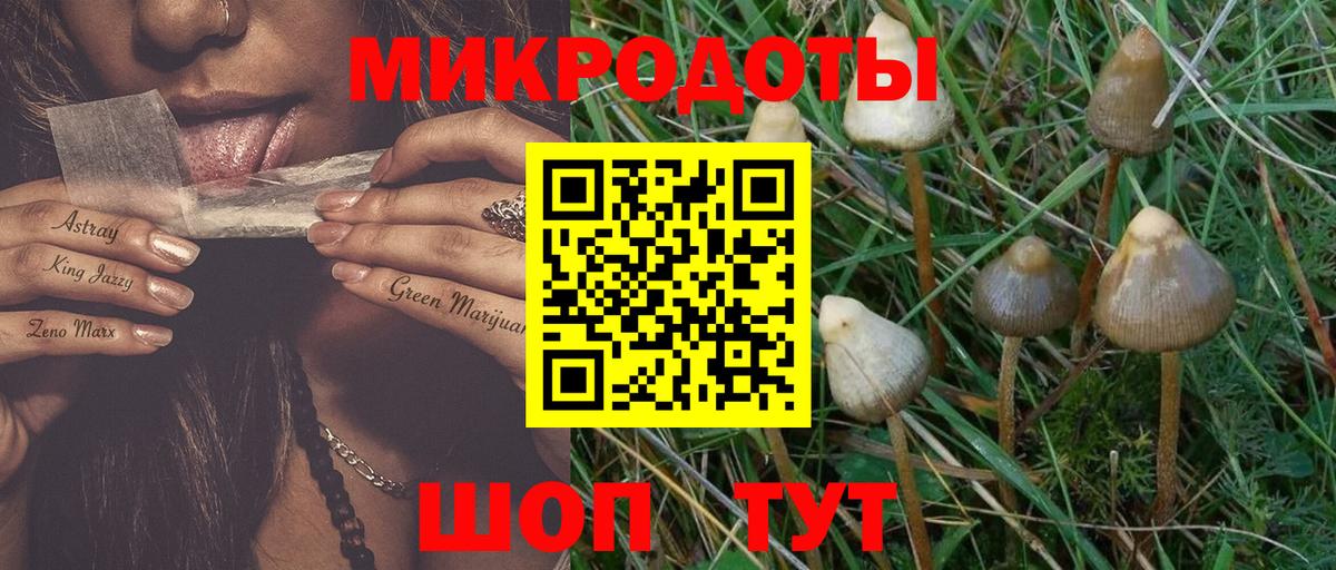 Заречный  Галлюциногенные грибы прущие грибы  Вход с VPN 